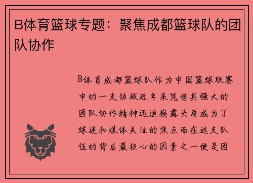 B体育篮球专题：聚焦成都篮球队的团队协作